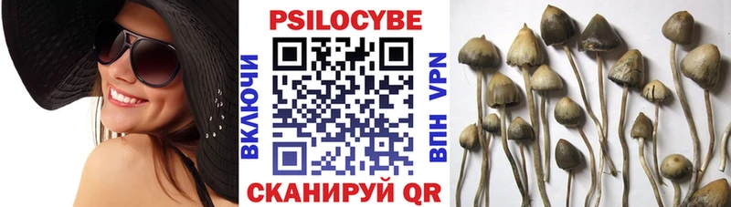 Купить где  Самара  Псилоцибиновые грибы Magic Shrooms 